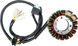 FIRE POWER Offroad Stator