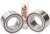 PIVOT WORKS Wheel Bearing Kit — Rear Bearings, Busings, & Seal Kits