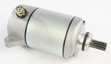 RICKS Starter Motor