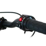 STACYC ® 12E DRIVE