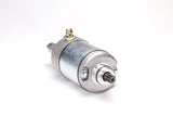 RICKS Starter Motor