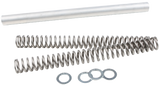 RACE TECH Fork Spring