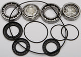 ALL BALLS Differential Bearing & Seal Kit — Bearings, Bushings & Seals