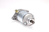 RICKS Starter Motor