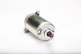 RICKS Starter Motor