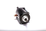 RICKS Starter Motor