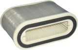 HIFLOFILTRO Air Filter