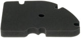HIFLOFILTRO Air Filter