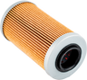 OIL FILTER SEA/SKI [12-11580]