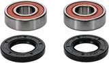 PIVOT WORKS Premium Wheel Bearing Kit