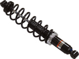 SP1 Ski Shock