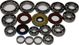 ALL BALLS Differential Bearing & Seal Kit — Bearings, Bushings & Seals