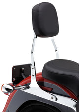 COBRA Square Sissy Bar