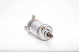 RICKS Starter Motor