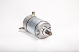 RICKS Starter Motor