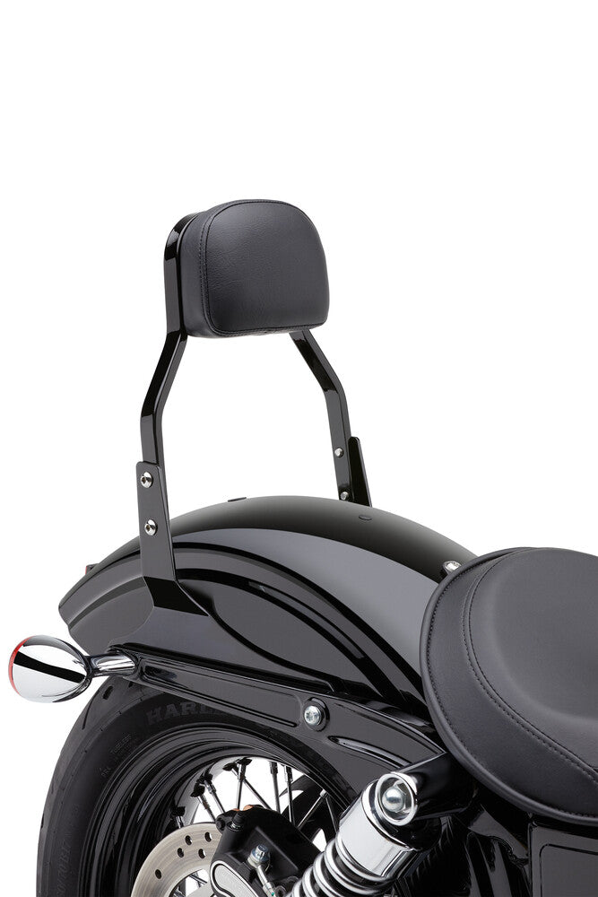 COBRA Square Sissy Bar