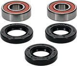 PIVOT WORKS Premium Wheel Bearing Kit