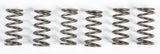 [WPS-merge:8903-8726644818081:37905065836705]