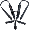 2" 5 POINT CAM LOCK HARNESS [249-90060]