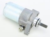RICKS Starter Motor