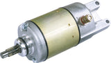RICKS Starter Motor