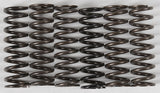 HINSON Clutch Springs