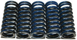 HINSON Clutch Springs