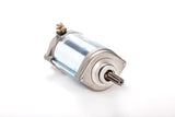 RICKS Starter Motor