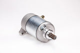 RICKS Starter Motor
