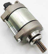 RICKS Starter Motor