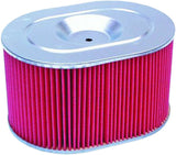 HIFLOFILTRO Air Filter