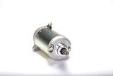 RICKS Starter Motor