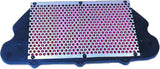 HIFLOFILTRO Air Filter