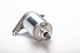 RICKS Starter Motor