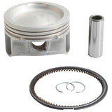 VERTEX Piston Kit