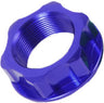 Steering Stem Nut & Bolt Blue M24X30-P1.5 H14