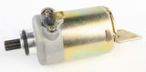 RICKS Starter Motor
