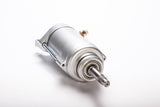 RICKS Starter Motor