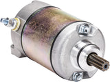 RICKS Starter Motor