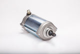 RICKS Starter Motor