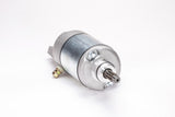 RICKS Starter Motor