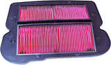 HIFLOFILTRO Air Filter