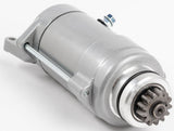 RICKS Starter Motor