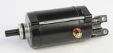 RICKS Starter Motor