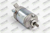 RICKS Starter Motor