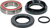 PIVOT WORKS Premium Wheel Bearing Kit