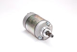 RICKS Starter Motor