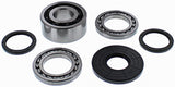 ALL BALLS Differential Bearing & Seal Kit — Bearings, Bushings & Seals