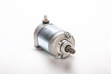 RICKS Starter Motor