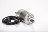 RICKS Starter Motor